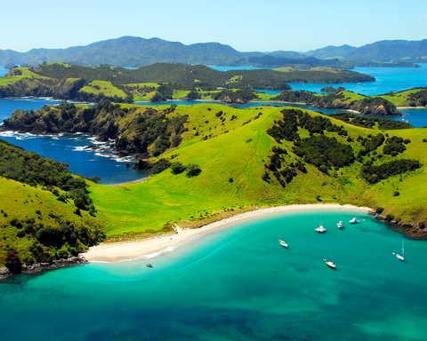 KAKAPO 7 DIAS ISLA NORTE CON BAY OF ISLANDS 2025/2026