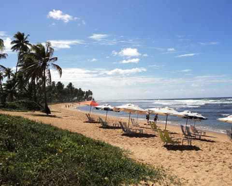 Brasil Aventurero: São Luís, Barreirinhas, Parnaíba & Jericoacoara