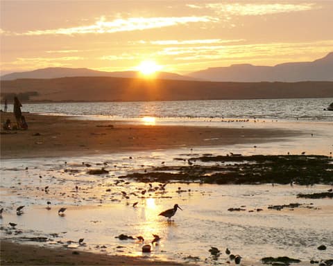 Collection of charms