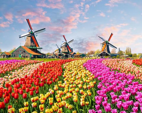 CRUCERO FLUVIAL POR EL RIN PAISES BAJOS - ALEMANIA desde Madrid (consultar otras ciudades) 