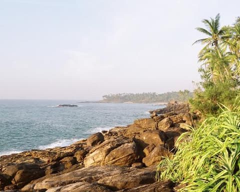 Ayurvedic Escape at Rekawa Wellness Resort