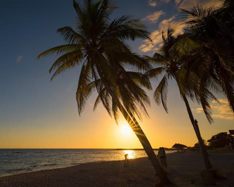 The Great Route of Cuba and Mexico (2027) – foto 5