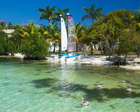 San Ignacio & Placencia