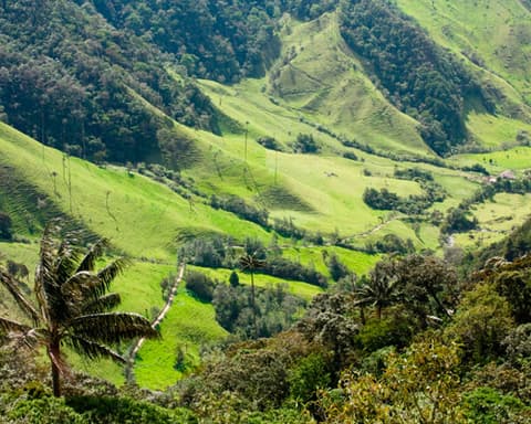 EJE CAFETERO, EL CORAZÓN DE COLOMBIA