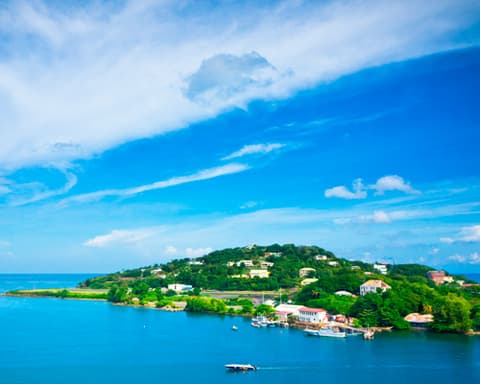 Crown Princess - Caribe (San Juan - 24 Enero 2027)