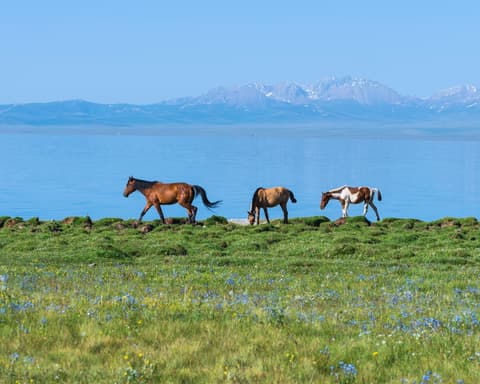 Kyrgystan Off Road Self-Drive Journey through Mountains and Villages 10 Days