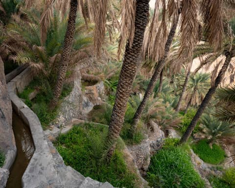 8-Day Oman Tour: Muscat, Desert, Wadis & Daymaniyat Islands