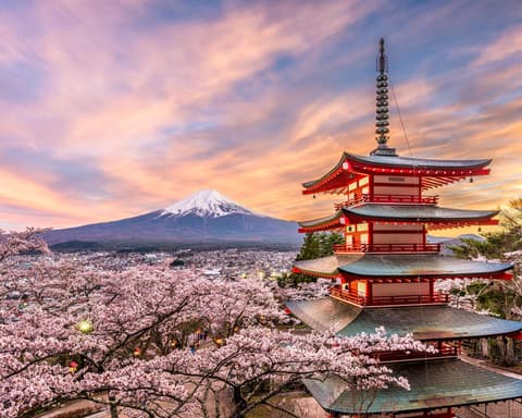 Beauties of Japan (2026) – foto 6