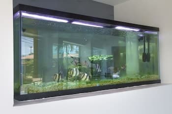 Byblos Hotel Bayahibe