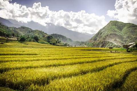 Vietnam Exclusivo  ** Vuelos Low Cost ** - Grupos Reducidos