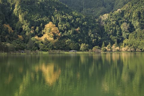 Caminando entre Volcanes (autoguiado)