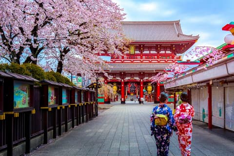 Japón Colorido