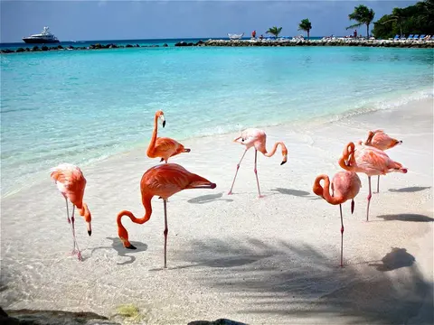 Yucatan and Campeche