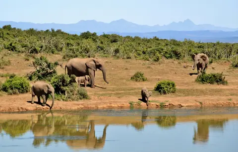 Safari Bahati