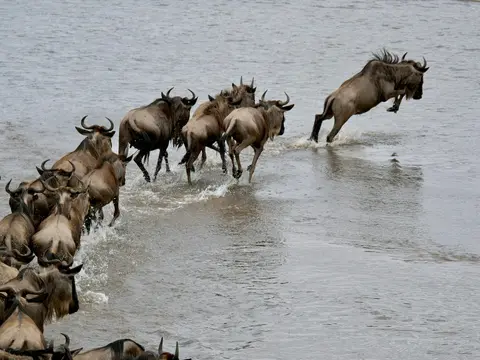 Safari Bahati