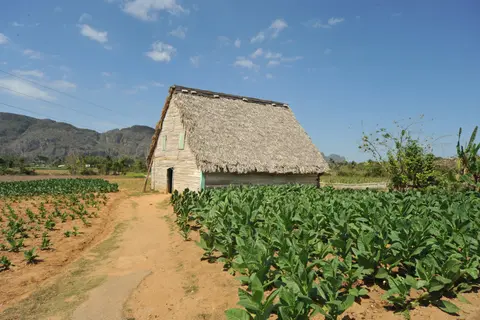 Portrait einer Insel