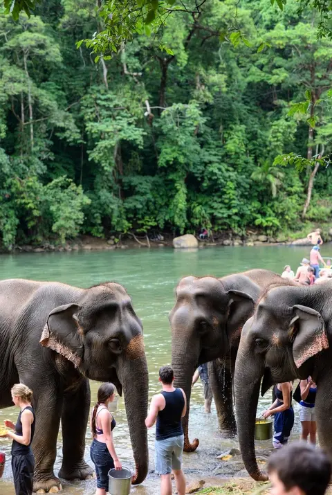 Nord della Tailandia 4 Notti