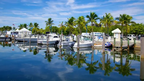 Miami pre and post Cruise