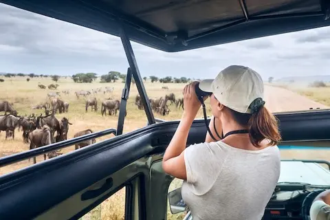 Safari Nyota Melia - Group tour