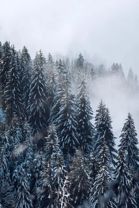 Hotel Jungfraublick Wengen