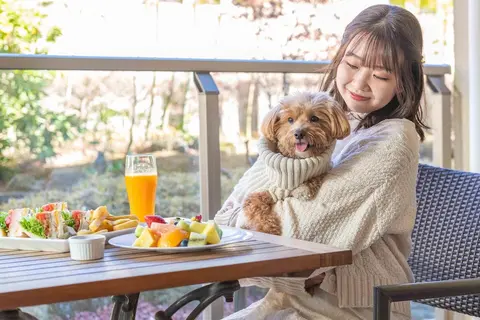 Hyatt Regency Hakone Resort and Spa