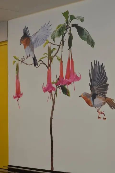 Arawi Miraflores Express