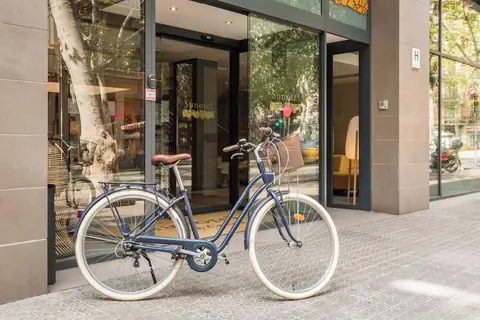 Petit Palace Trencadis