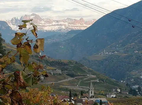 La Briosa