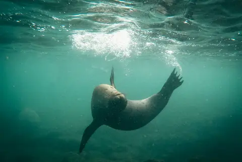 Galapagos Experience