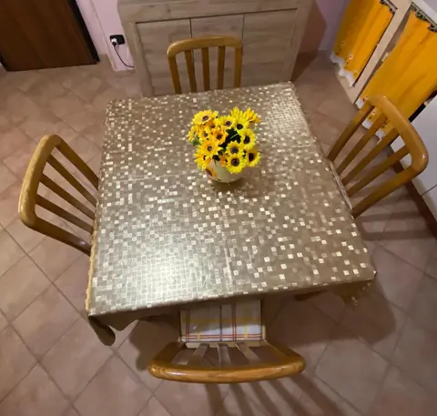 L'albero di limoni sul mare di Pizzo