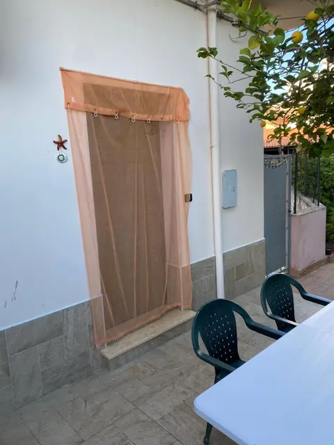 L'albero di limoni sul mare di Pizzo