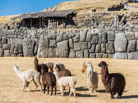 Andean Trilogy, Private Tour