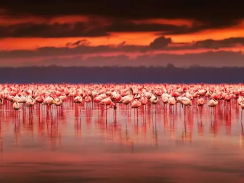 Kenya Classic, Serena Lodges - Visite privée