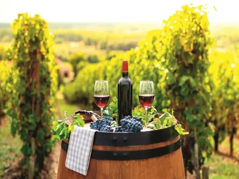 Die Dolomiten und Prosecco, Selbstfahrer