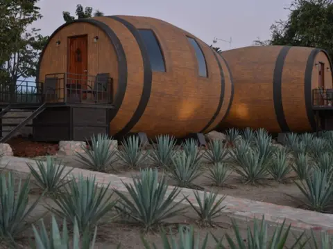 Tour Tequila & Mariachis