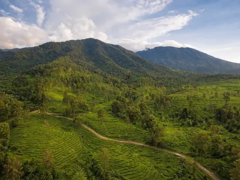 Giardini Botanici di Bogor