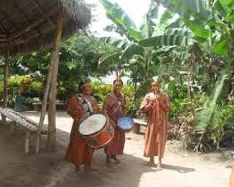 Central Jungle Basic 02 Days / 01 Night