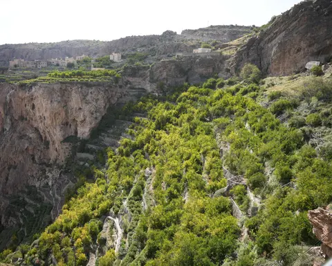 Jabal Akhdar Rose Experience