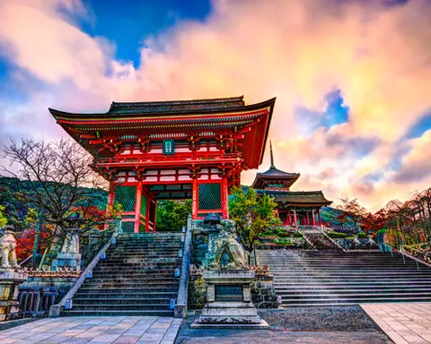 Immersion au Japon