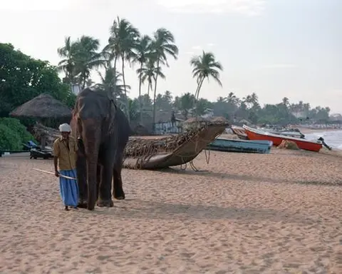 MTPE-30074 SRI LANKA