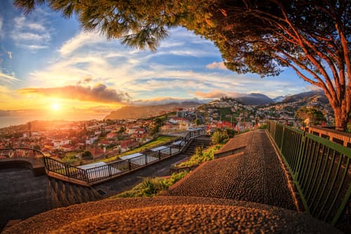 Madeira Discovery (2027)