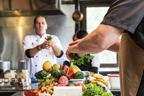 Jungle & Culinary Experience