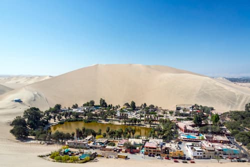 Dunas y viñedos