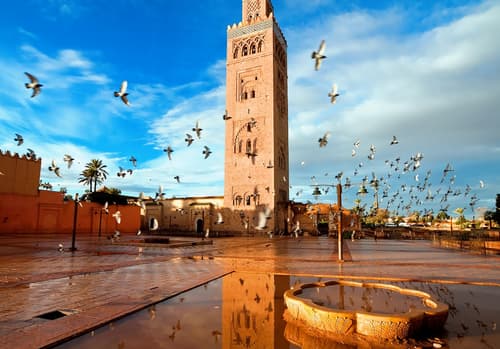 Oasis & Desert, 4 days, Private tour