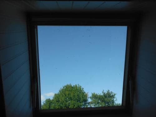 Paddy's Palace Dingle Peninsula Hostel