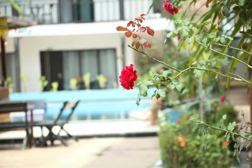 Confetti Garden Resort, 