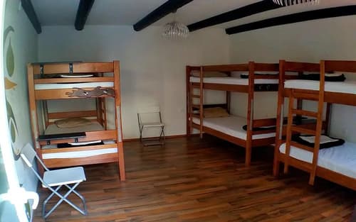 The Lazy Monkey Hostel, 