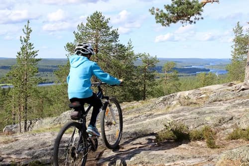 Guesthouse Arctic Heart