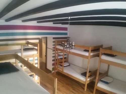 The Lazy Monkey Hostel, 