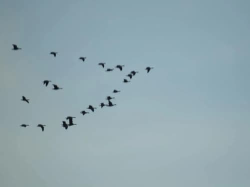 Alaska Adventure Cabins, 